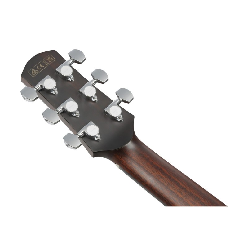 Ibanez AAM740E-LG Advanced Acoustic Platinum Collection - Gitara elektroakustyczna z futerałem