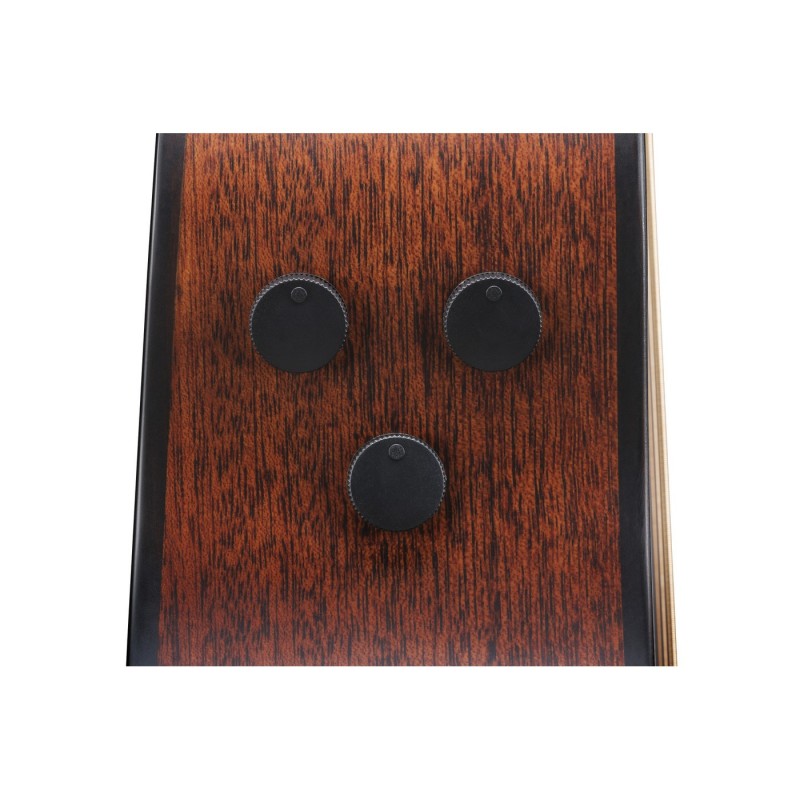 Ibanez AAM740E-LG Advanced Acoustic Platinum Collection - Gitara elektroakustyczna z futerałem