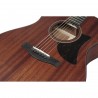 Ibanez AAM740E-LG Advanced Acoustic Platinum Collection - Gitara elektroakustyczna z futerałem