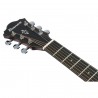 Ibanez AE440-LGS Platinum Collection AE - Gitara elektroakustyczna z futerałem