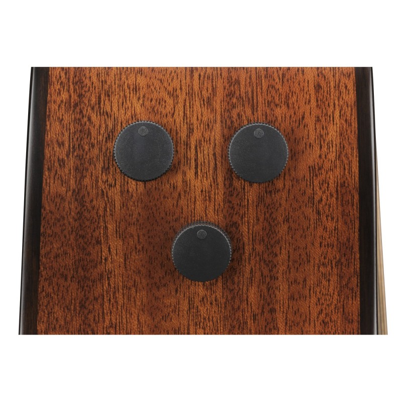 Ibanez AE440-LGS Platinum Collection AE - Gitara elektroakustyczna z futerałem