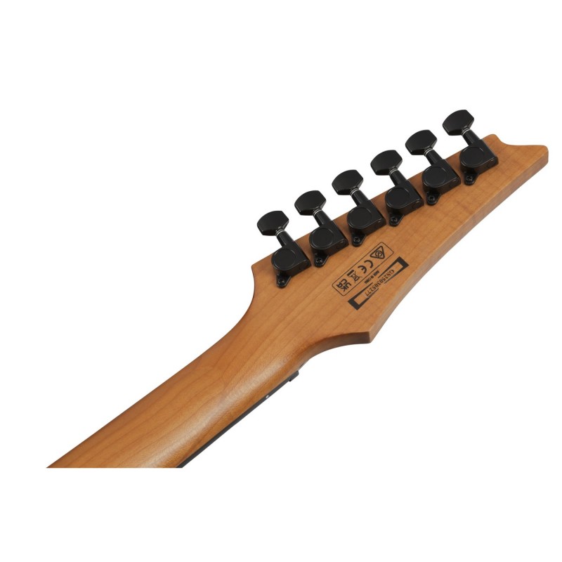 Ibanez GRGR221FA-TDK GIO RGR - Gitara elektryczna