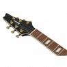 Ibanez IC420FM-TBG Iceman - Gitara elektryczna z pokrowcem