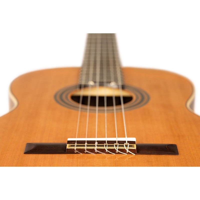 Ortega R20GWN-L Traditional Series - Gitara klasyczna 4/4 leworęczna z pokrowcem