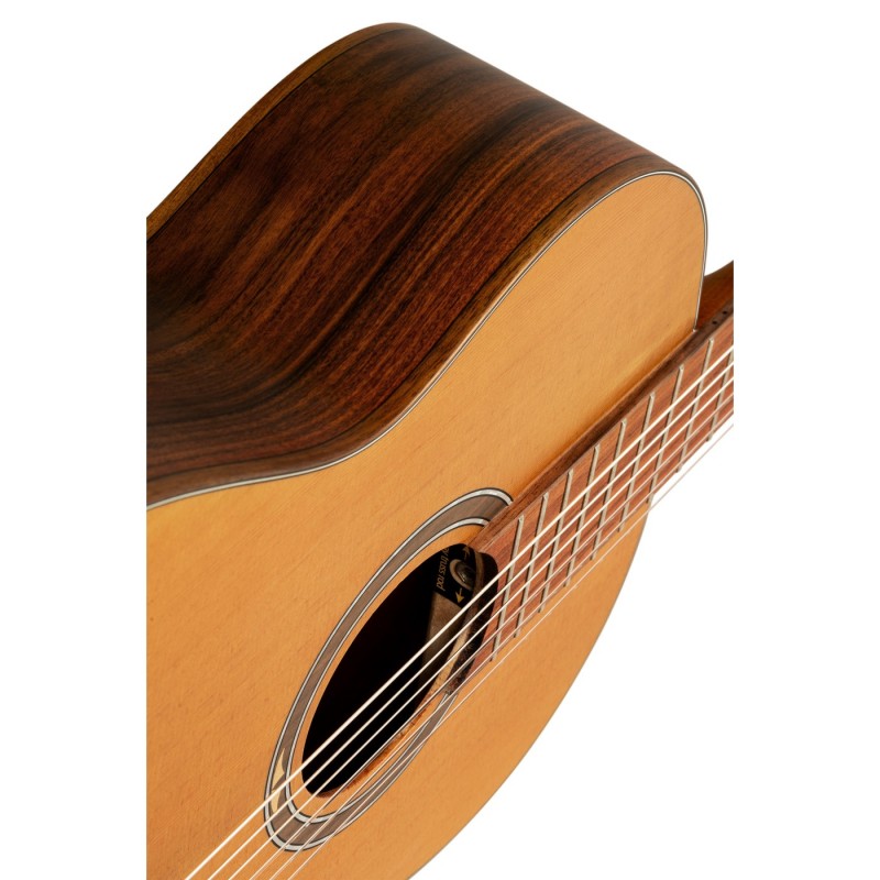 Ortega R24RO Thermo Series - Gitara klasyczna 4/4 z pokrowcem