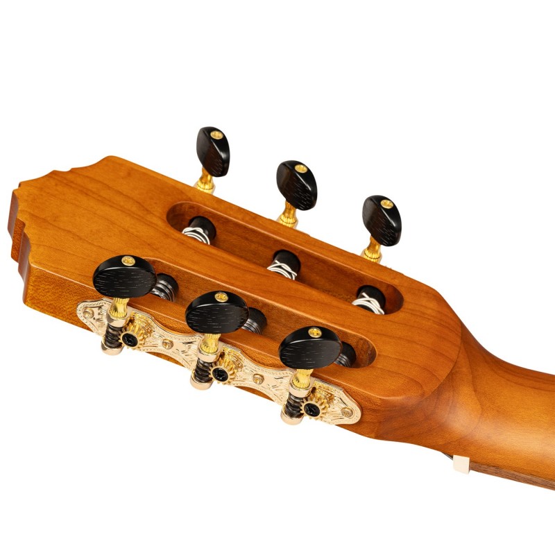 Ortega R24RO Thermo Series - Gitara klasyczna 4/4 z pokrowcem