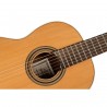 Ortega R20GWN Traditional Series - Gitara klasyczna 4/4 z pokrowcem