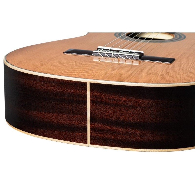 Ortega R19G Traditional Series - Gitara klasyczna 4/4 z pokrowcem