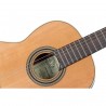 Ortega R18G Traditional Series - Gitara klasyczna 4/4 z pokrowcem