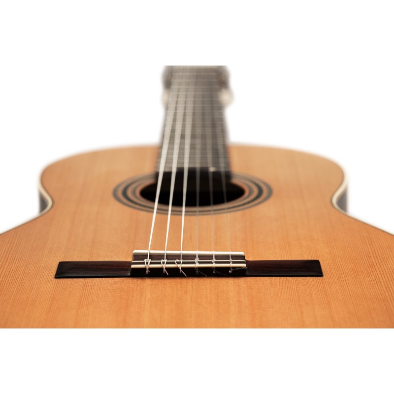Ortega R19S Traditional Series - Gitara klasyczna 4/4 z pokrowcem