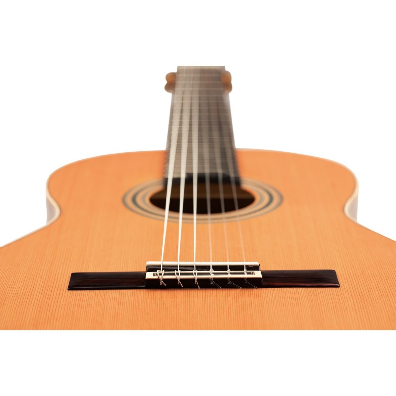Ortega R20GRG Traditional Series - Gitara klasyczna 4/4 z pokrowcem