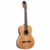 Ortega R20GSNRG Traditional Series - Gitara klasyczna 4/4 z pokrowcem