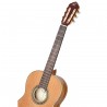Ortega R20GSNRG Traditional Series - Gitara klasyczna 4/4 z pokrowcem