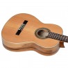 Ortega R20GSNRG Traditional Series - Gitara klasyczna 4/4 z pokrowcem