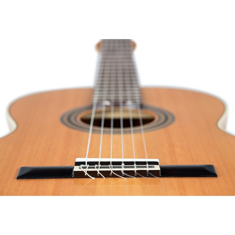 Ortega R20GSNRG Traditional Series - Gitara klasyczna 4/4 z pokrowcem