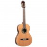 Ortega R20GSNWN Traditional Series - Gitara klasyczna 4/4 z pokrowcem