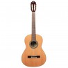 Ortega R20GSNWN Traditional Series - Gitara klasyczna 4/4 z pokrowcem