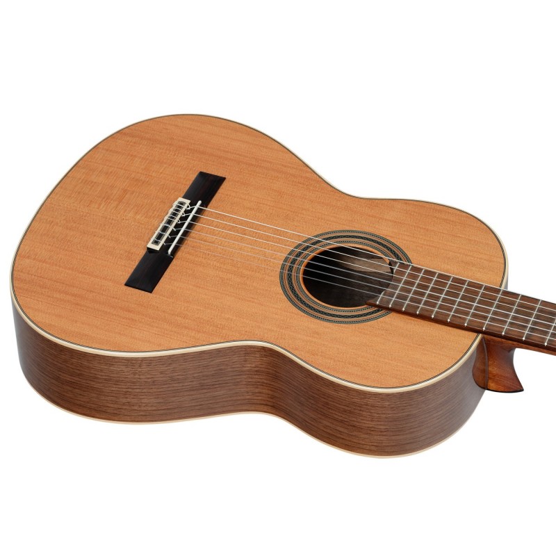 Ortega R20GSNWN Traditional Series - Gitara klasyczna 4/4 z pokrowcem