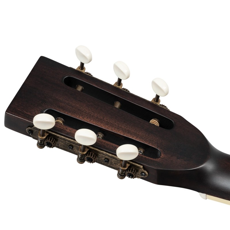 Ortega RRG60E Americana Series - Gitara rezonansowa 4/4 z pokrowcem
