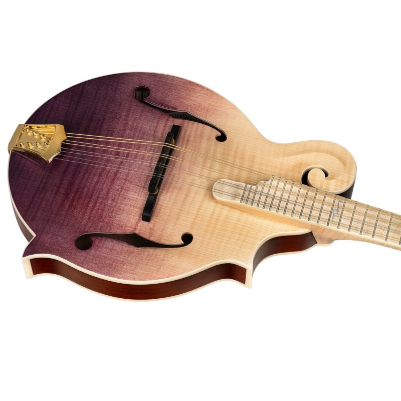 Ortega RMF200PF Americana Series F-Style - Mandolina z futerałem