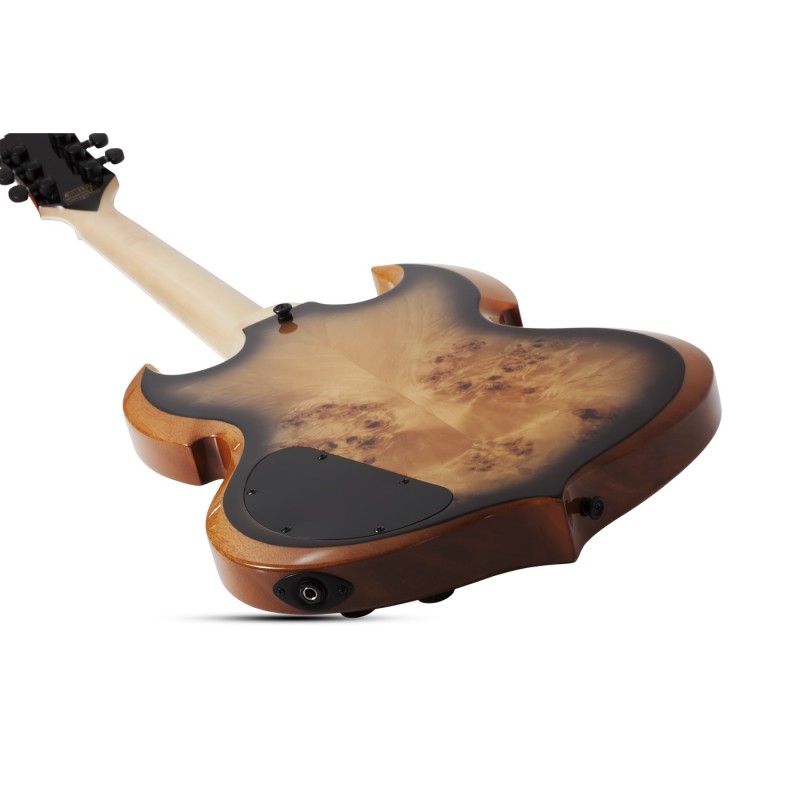 Schecter Wylde Audio Barbarian - Gitara elektryczna - 5 - Strona główna - 