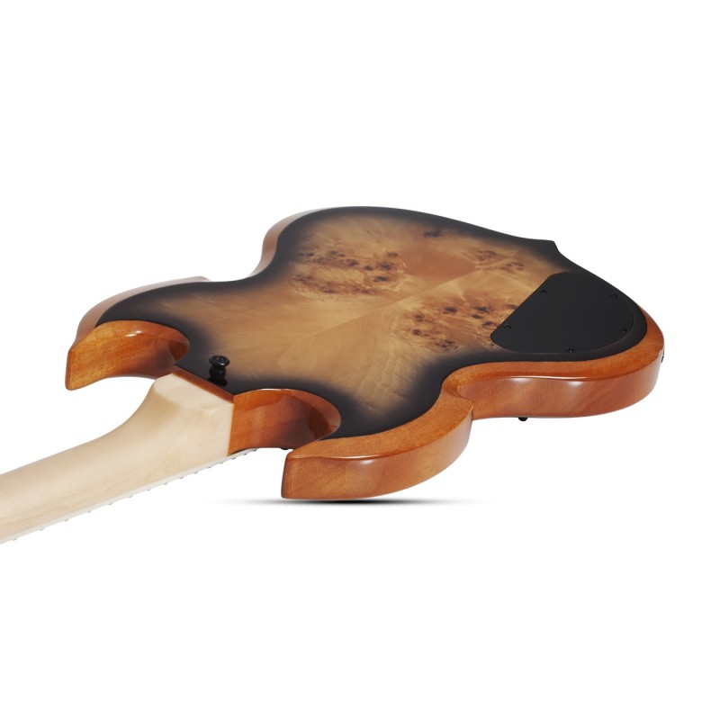 Schecter Wylde Audio Barbarian - Gitara elektryczna - 7 - Strona główna - 