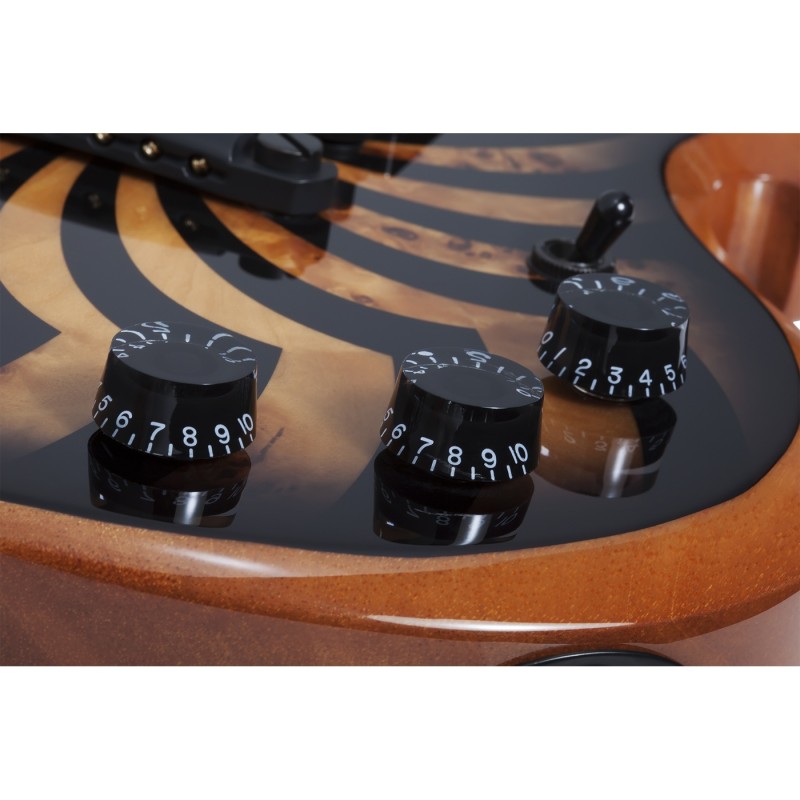 Schecter Wylde Audio Barbarian - Gitara elektryczna - 8 - Strona główna - 