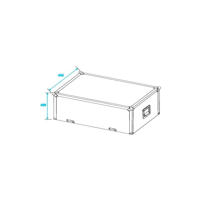 ST Flightcase for 2x PAS-212 - case