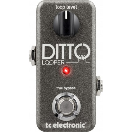 TC ELECTRONIC Ditto Looper - efekt gitarowy