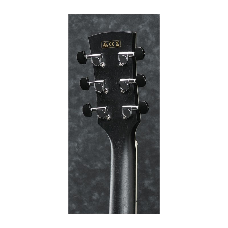 Ibanez AW84CE-WK - gitara elektroakustyczna