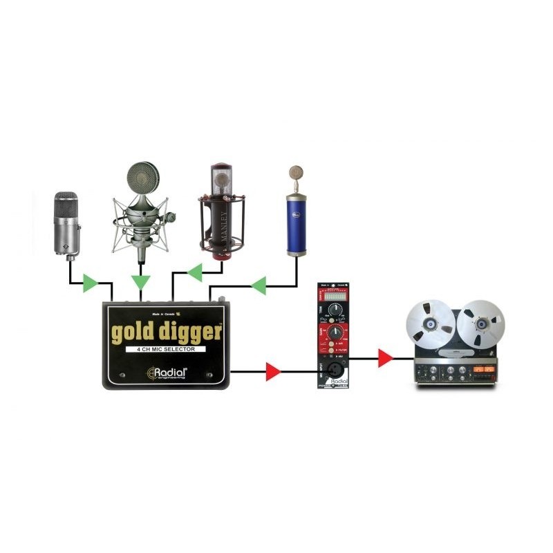 Radial Pro Gold Digger - selektor mikrofonowy