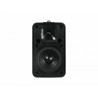 OMNITRONIC ODP-204T 100V black 2x - Głośniki Instalacyjne