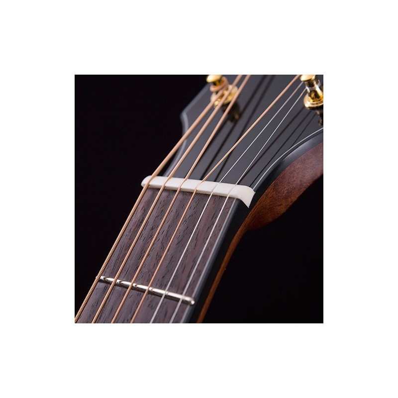 Cort Gold A6 - Gitara e-akustyczna
