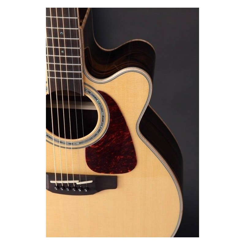 TAKAMINE GN90CE-ZC - zoom front
