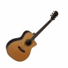 Dowina Cabernet GAC - Gitara akustyczna + Pakiet V