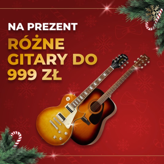 Różne gitary do 999 zł