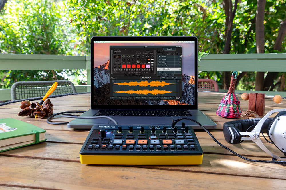 Roland AIRA Compact P-6 Creative Sampler: P-6 SampleTool