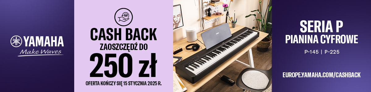 Yamaha P-series Caschback